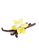 Rasa vanilla